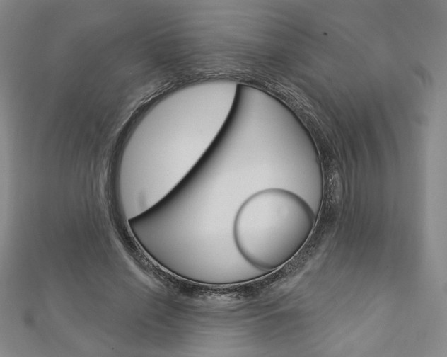 X0000112910638200908241009