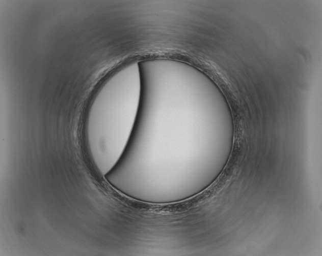 X0000112910640200908241009