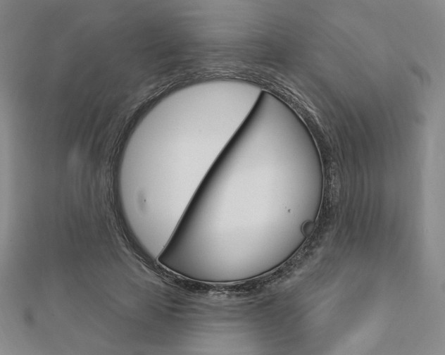X0000112910641200908241009