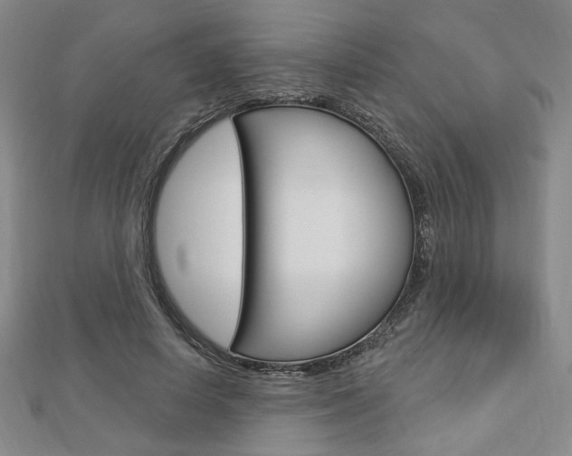 X0000112910642200908241009