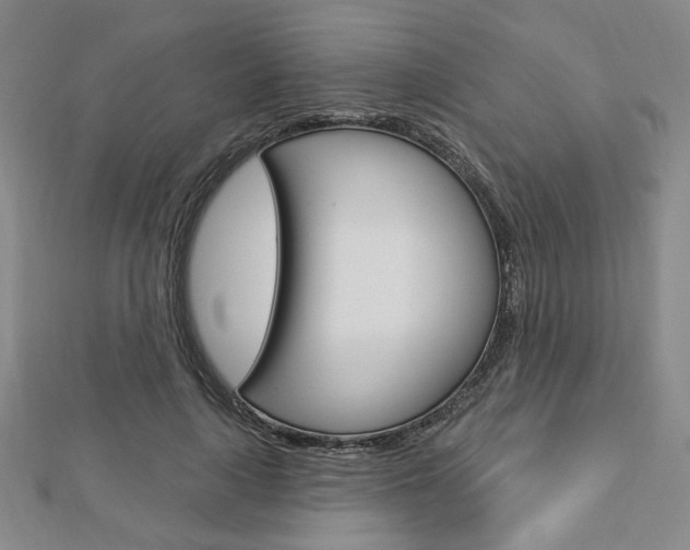X0000112910643200908241009