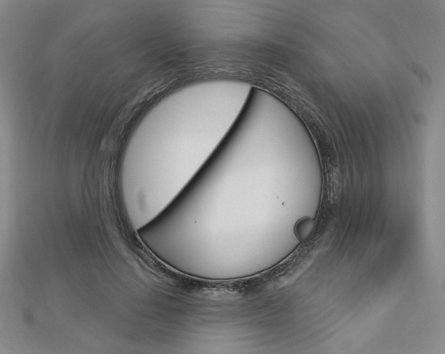 X0000112910644200908241009