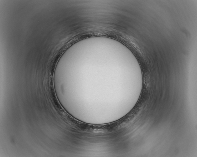 X0000112910645200908241009