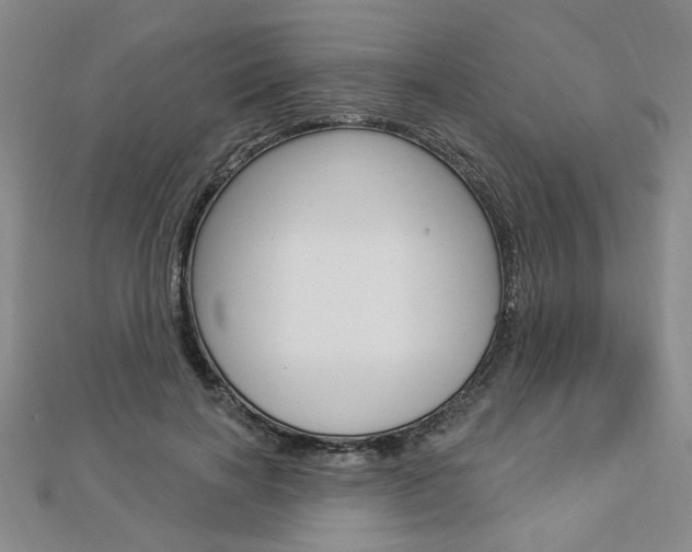 X0000112910646200908241009