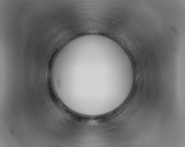 X0000112910647200908241009