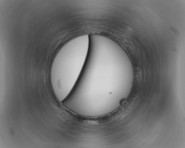 X0000112910649200908241009