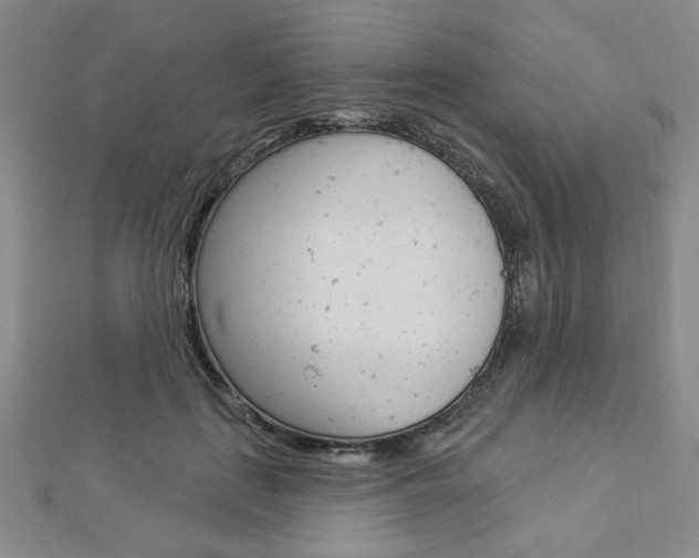 X0000112910651200908241009