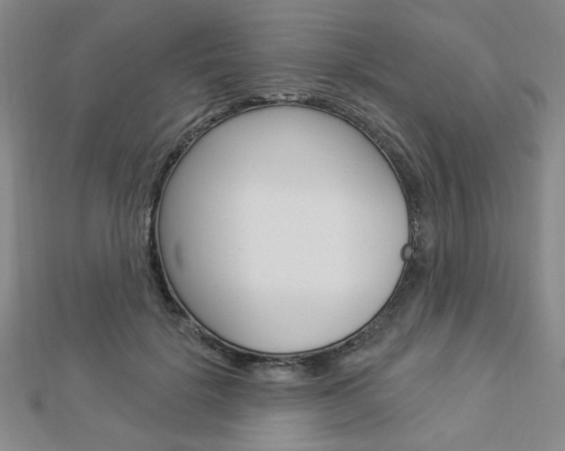 X0000112910652200908241009