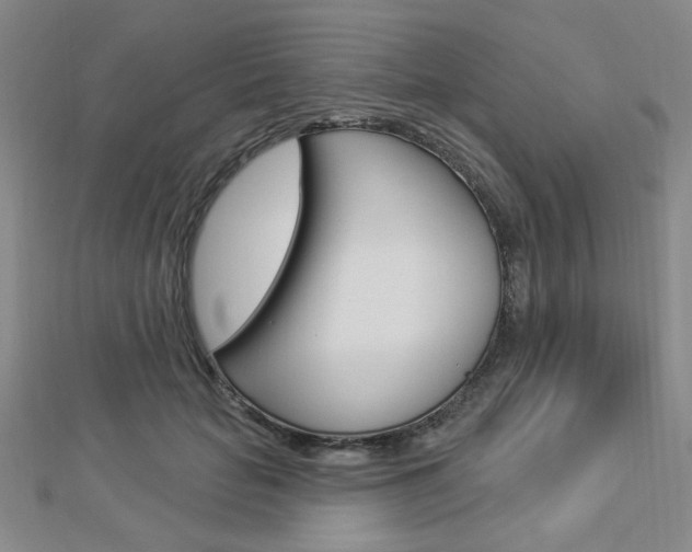 X0000112910653200908241009