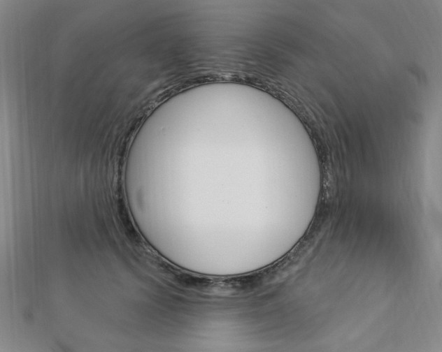 X0000112910656200908241009