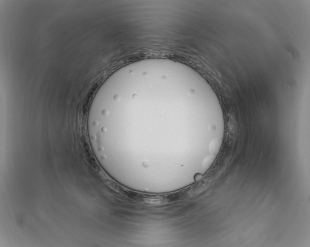 X0000112910659200908241009