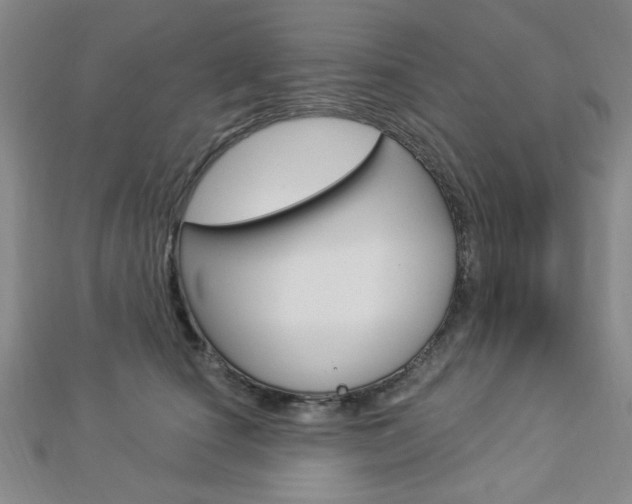 X0000112910660200908241009