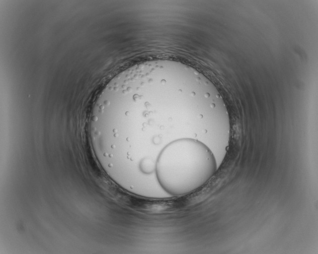 X0000112910662200908241010
