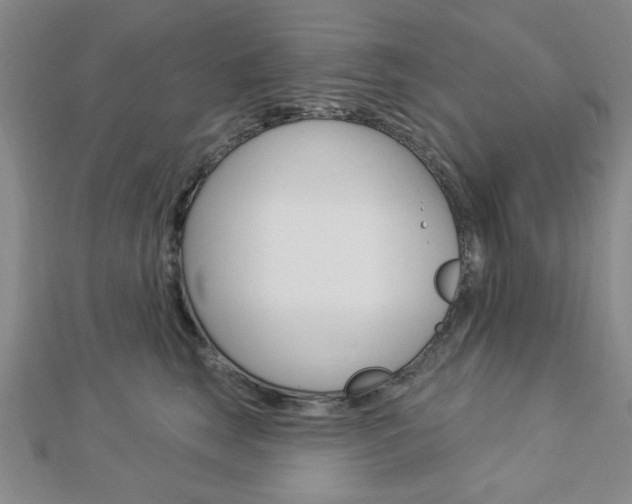 X0000112910663200908241010