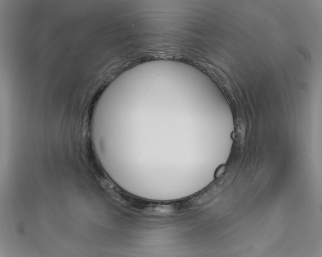X0000112910665200908241010