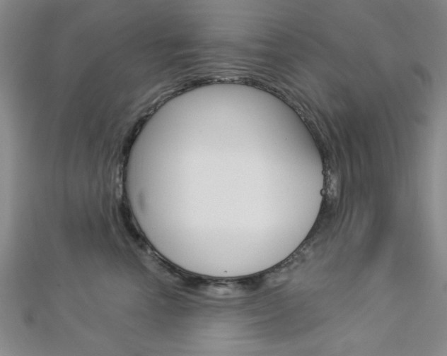 X0000112910666200908241010