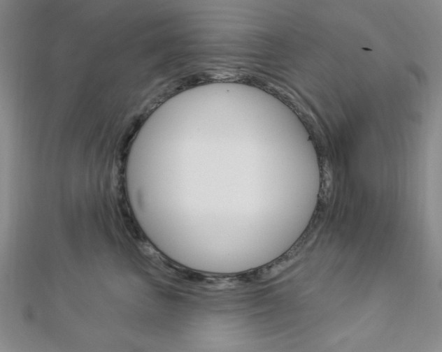 X0000112910667200908241010