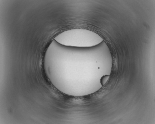 X0000112910668200908241010