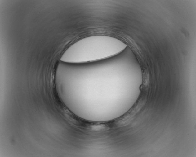 X0000112910669200908241010