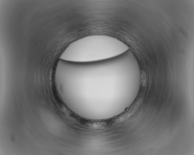 X0000112910670200908241010