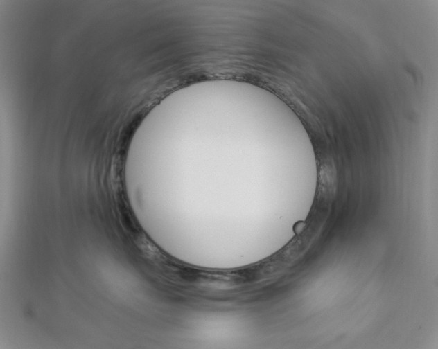 X0000112910671200908241010