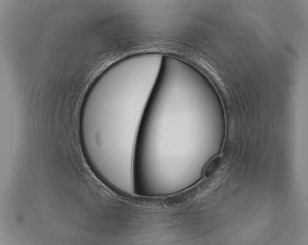 X0000112910673200908241009