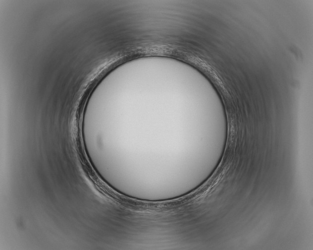 X0000112910674200908241009