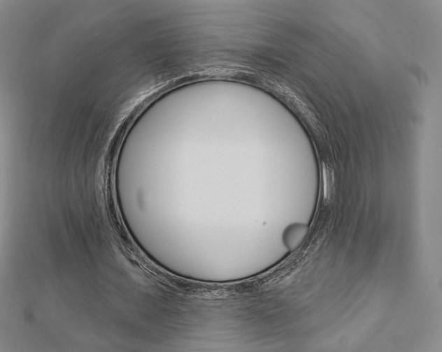 X0000112910675200908241009