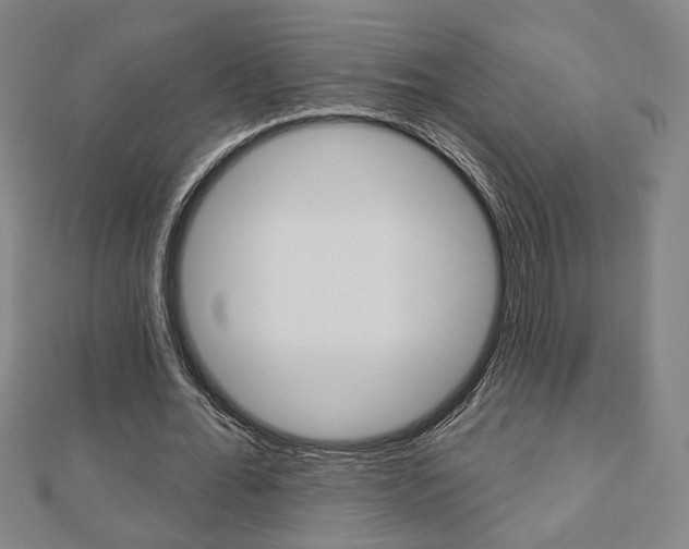 X0000112910676200908241009