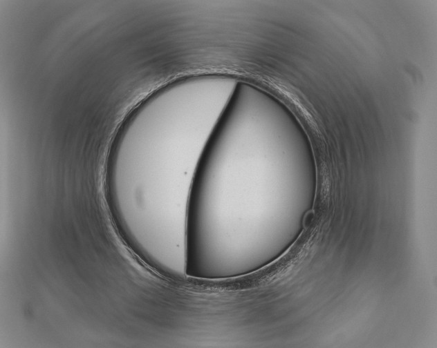 X0000112910677200908241009