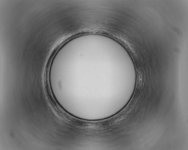 X0000112910678200908241009
