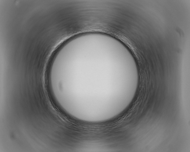 X0000112910680200908241009