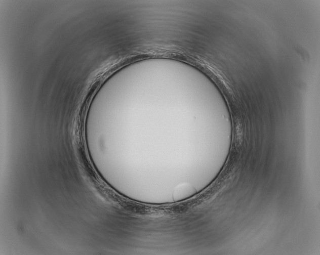 X0000112910682200908241009
