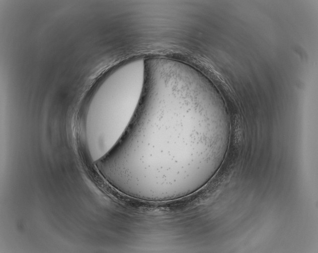 X0000112910683200908241009
