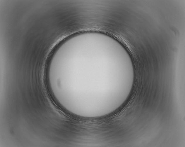 X0000112910684200908241009