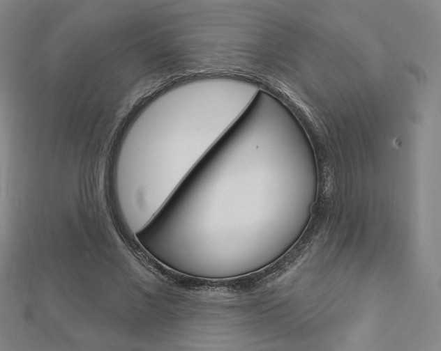 X0000112910685200908241009