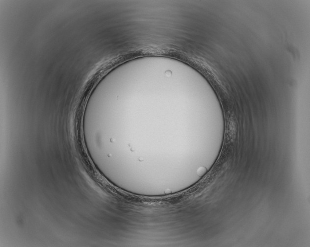 X0000112910686200908241009