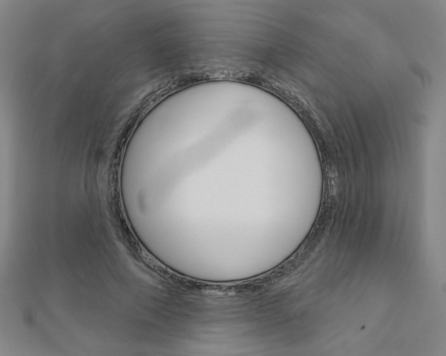 X0000112910690200908241008