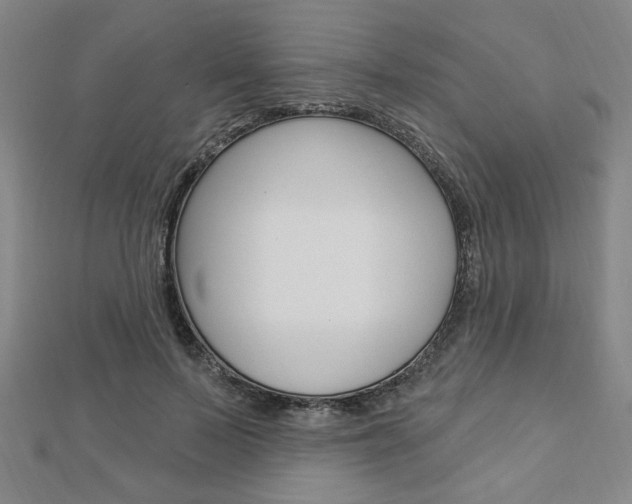 X0000112910695200908241008