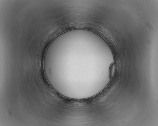X0000112910697200908241008