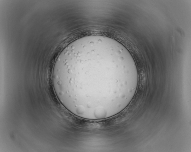 X0000112910698200908241008