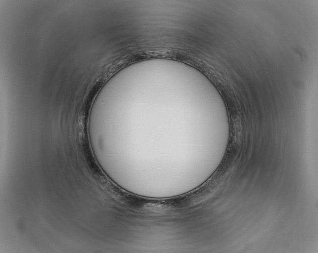 X0000112910699200908241008