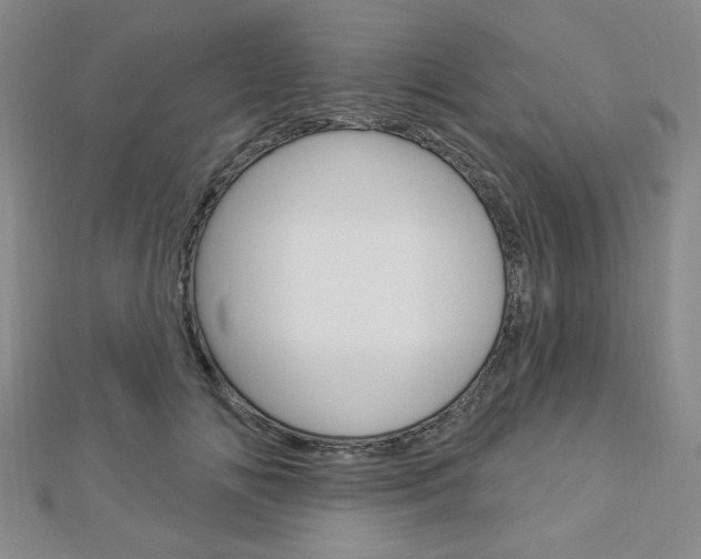 X0000112910702200908241008