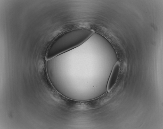 X0000112910704200908241008