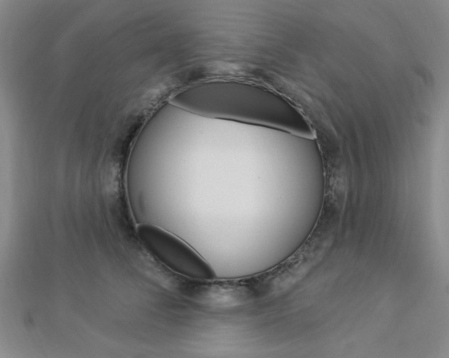 X0000112910708200908241008
