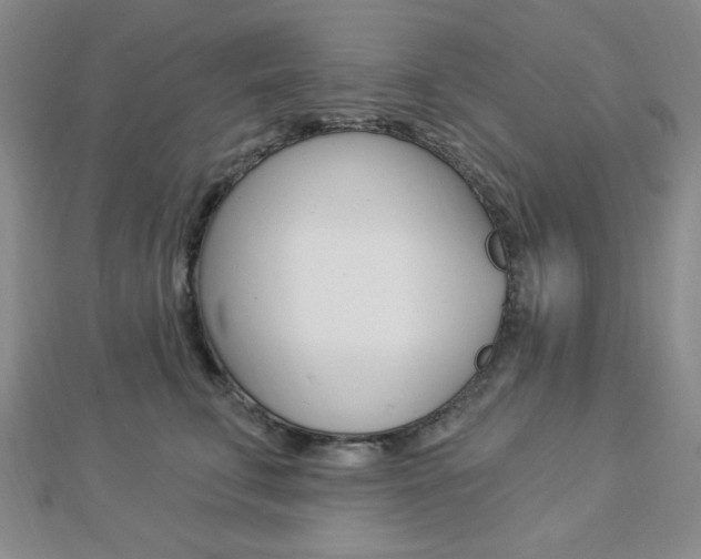 X0000112910711200908241008