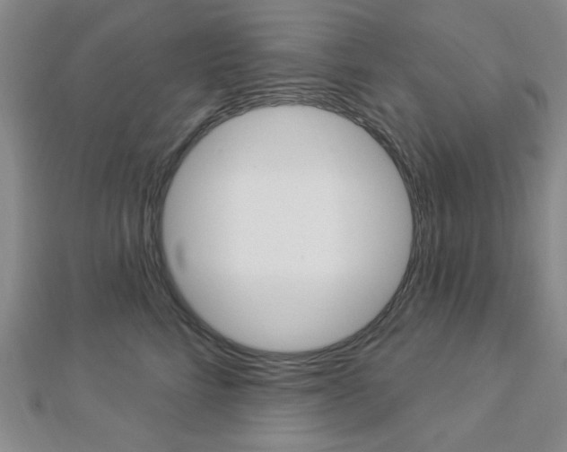 X0000112910712200908241008