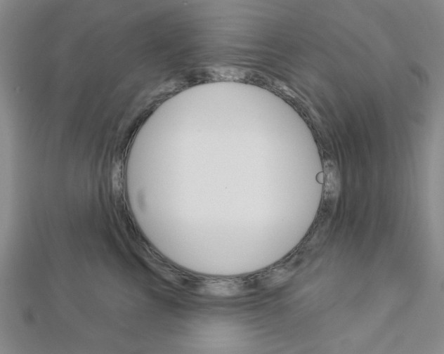 X0000112910713200908241008