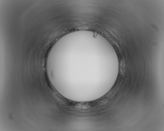 X0000112910714200908241008