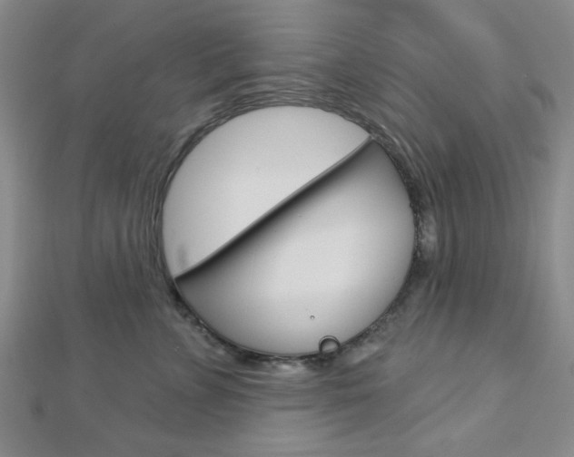 X0000112910715200908241008